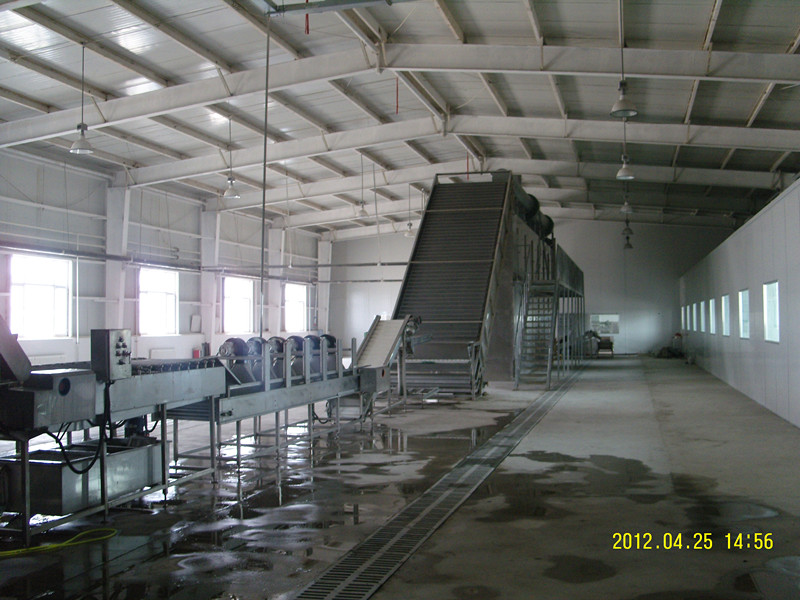 紅棗生產線，紅棗烘干機，紅棗干燥機